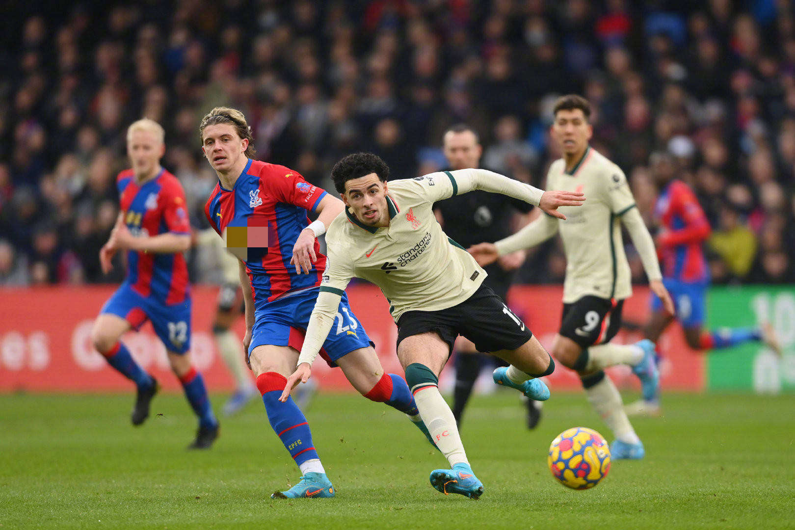 作为教练 作为教练